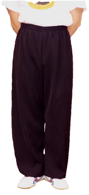 Kung Fu / Tai Chi Pants