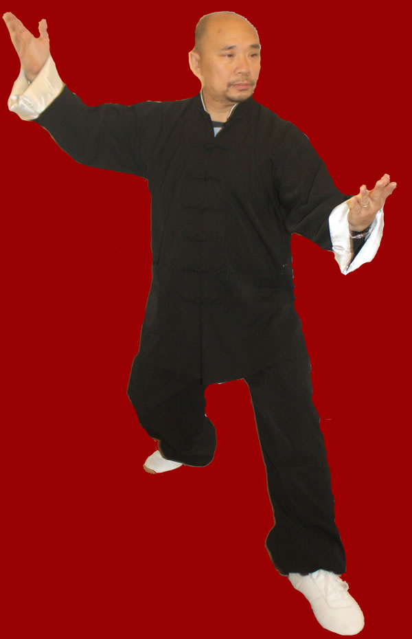 Tai Chi Kung Fu Suit ( plain) - Tai Chi Link