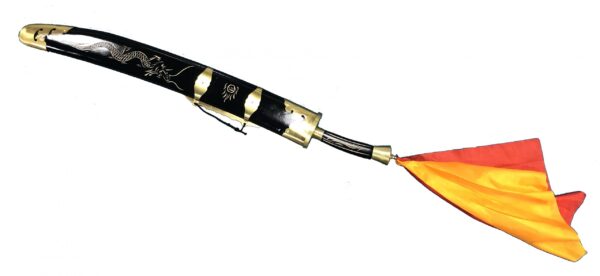 Dragon Tai Chi BROAD Sword - Stainless Steel Longquan