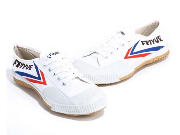 White Feiyue Tai Chi Shoes