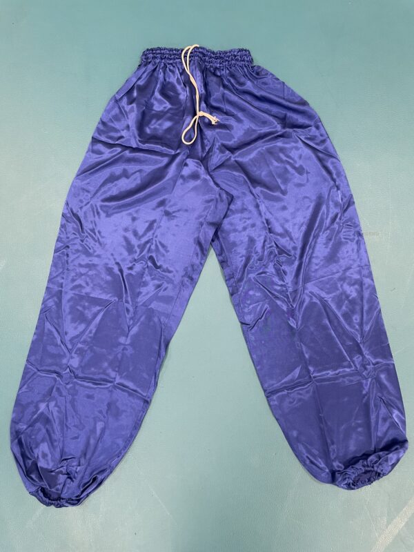 Blue Silk Trousers